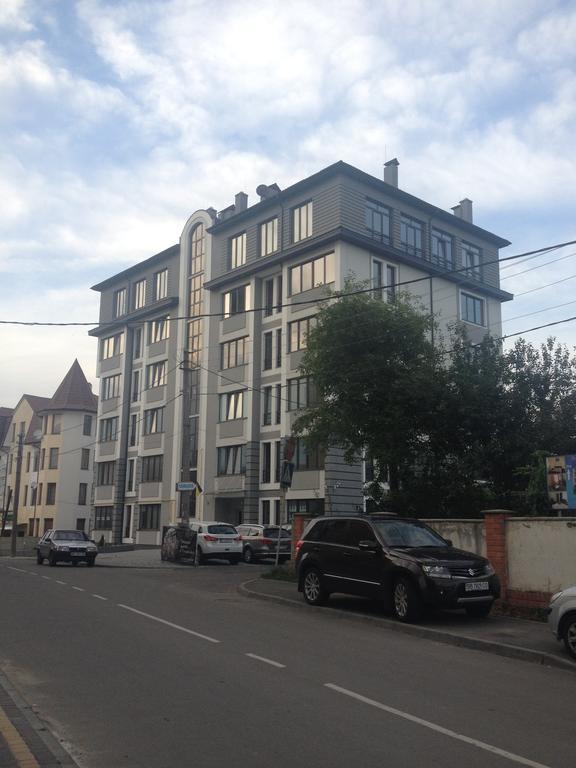 Апартаменты Loft В Жк Срібний Дім Truskavets Dış mekan fotoğraf